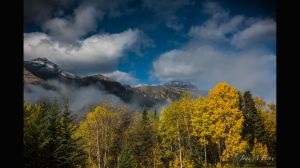 Aspen, Fog, Mountains